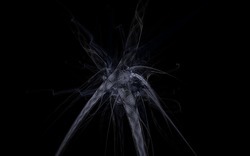 2014 12 15 Shadow Play 023-black.jpg